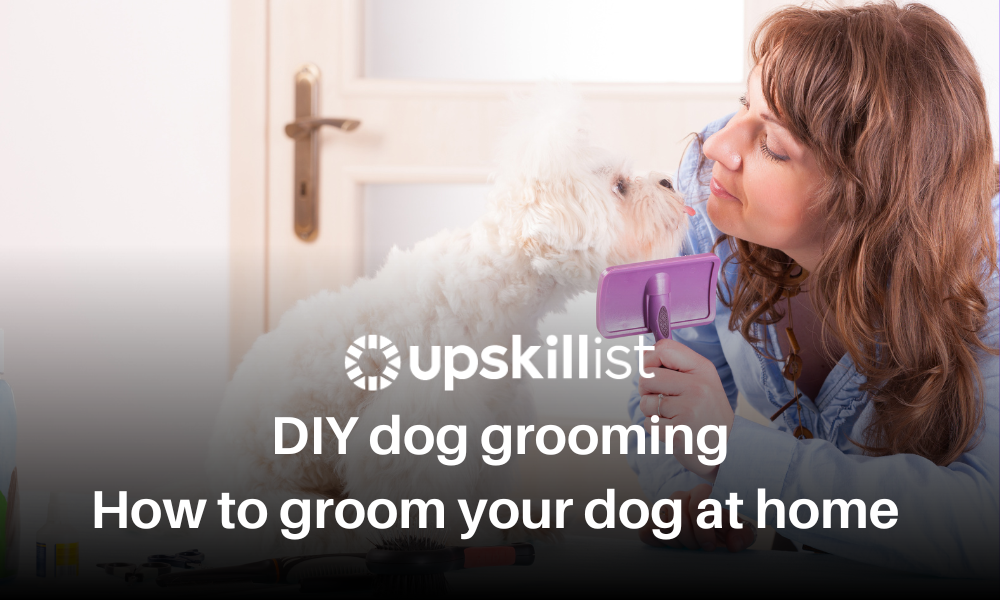 DIY Dog Grooming: How to Groom Your Dog at Home