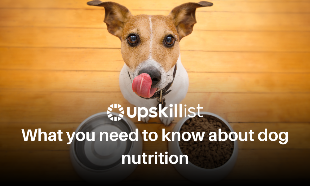 What You Need To Know About Dog Nutrition?