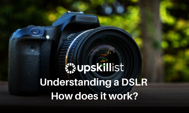 Understanding a DSLR: How Does it Work?