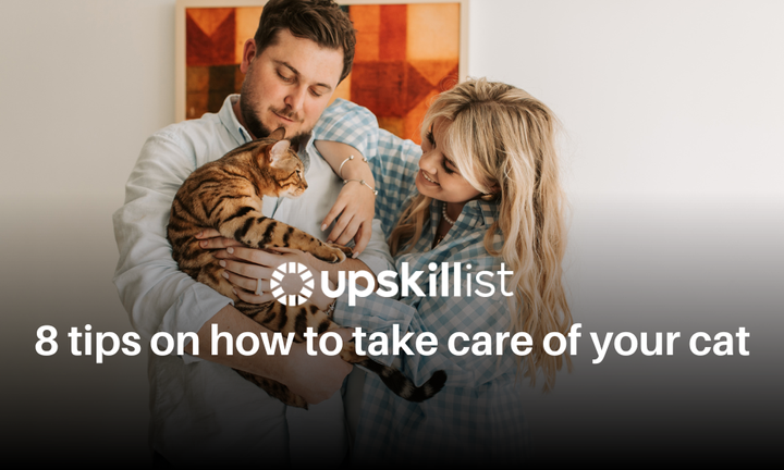 Top 8 tips on how to take care of a cat